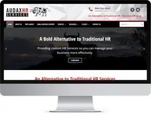 Audax HR Services website pc monitor